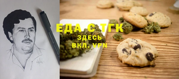 тгк Дмитровск