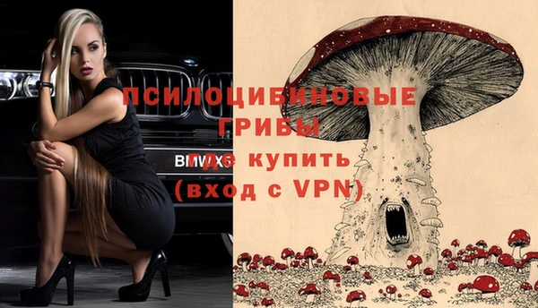каннабис Дмитров
