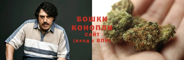 тгк Дмитровск