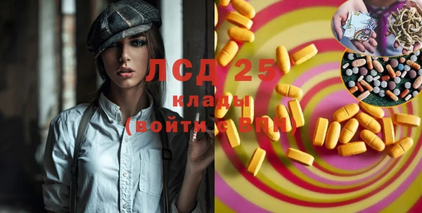 тгк Дмитровск