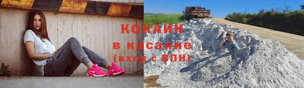 тгк Дмитровск